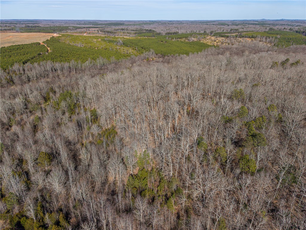 247 Stallion Drive Honea Path, SC 29654 - Photo 15 of 19 Expansive acreage provides a verdant canvas for development amidst natural beauty.
