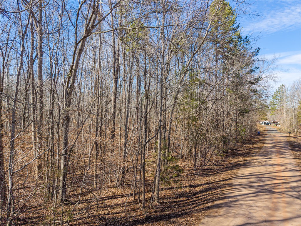 247 Stallion Drive Honea Path, SC 29654 - Photo 18 of 19 A tranquil wooded lot offers a peaceful retreat with a private road leading to distant homes.
