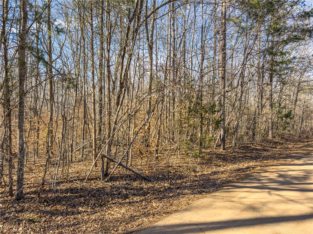 247 Stallion Drive Honea Path, SC 29654 - Photo 19 of 19 Mature trees line this expansive lot, offering a natural and serene setting for your future home.