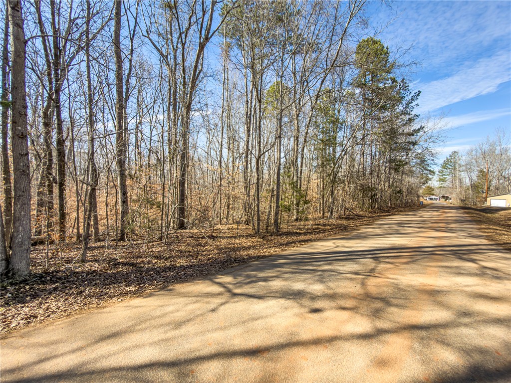 247 Stallion Drive Honea Path, SC 29654 - Photo 3 of 19 This expansive, wooded lot provides an ideal setting for a private residence.