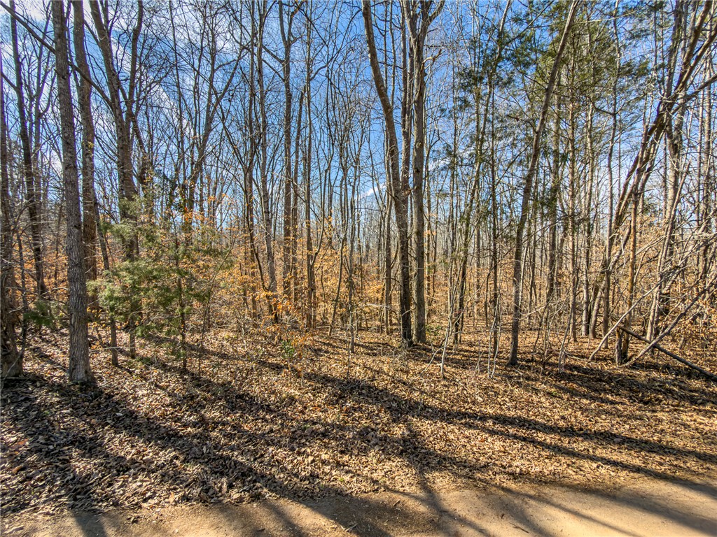 247 Stallion Drive Honea Path, SC 29654 - Photo 4 of 19 A tranquil wooded lot offers a peaceful retreat for your future home.