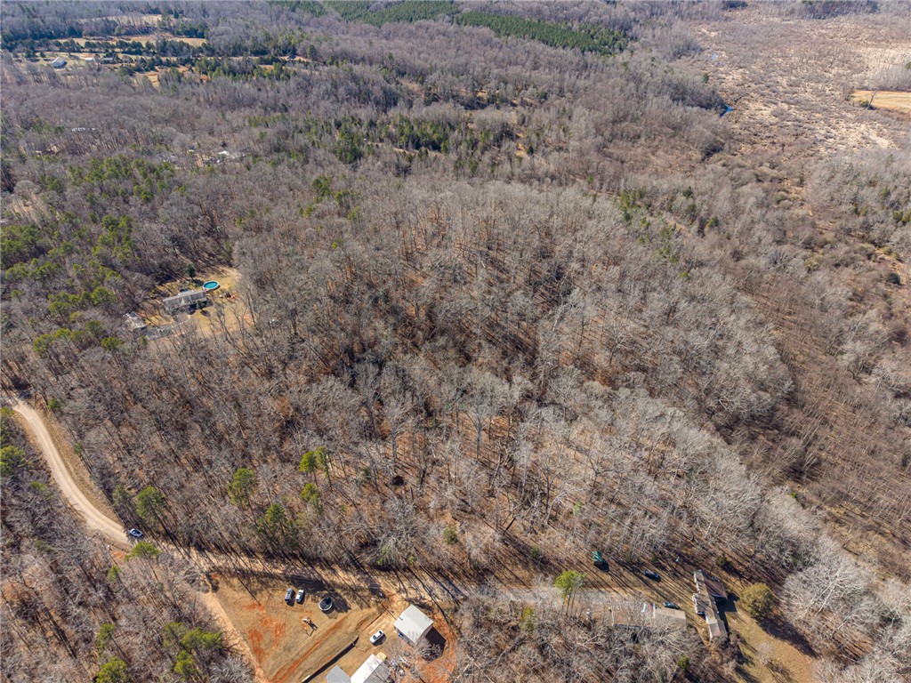 247 Stallion Drive Honea Path, SC 29654 - Photo 5 of 19 This elevated perspective showcases expansive acreage, blending natural woodland with residential elements.
