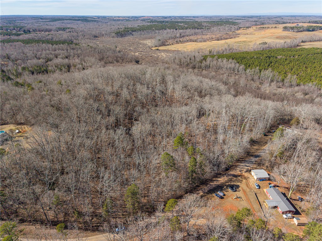 247 Stallion Drive Honea Path, SC 29654 - Photo 6 of 19 This elevated view captures the expansive natural surroundings and a welcoming residence.