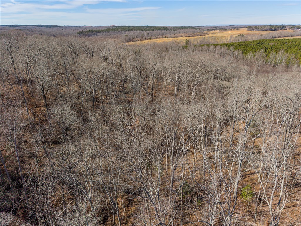 247 Stallion Drive Honea Path, SC 29654 - Photo 7 of 19 Expansive acreage offers a serene landscape of dense woodland and open fields, ideal for diverse possibilities.