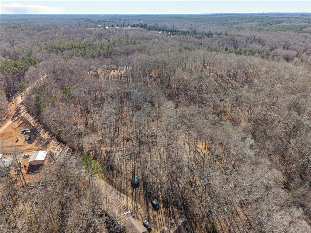 247 Stallion Drive Honea Path, SC 29654 - Photo 9 of 19 Expansive acreage provides a secluded setting, perfect for your private sanctuary amidst nature's tranquility.