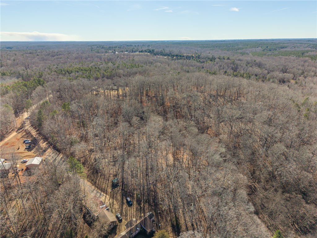 247 Stallion Drive Honea Path, SC 29654 - Photo 10 of 19 This expansive aerial view showcases a vast wooded area, perfect for tranquil living or development.