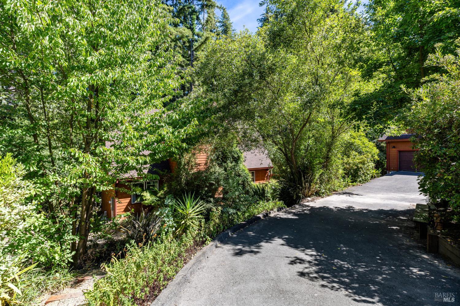 9935 Occidental Road Sebastopol, CA 95472 - Photo 42 of 59 Landscaping and mature trees make the home very private!