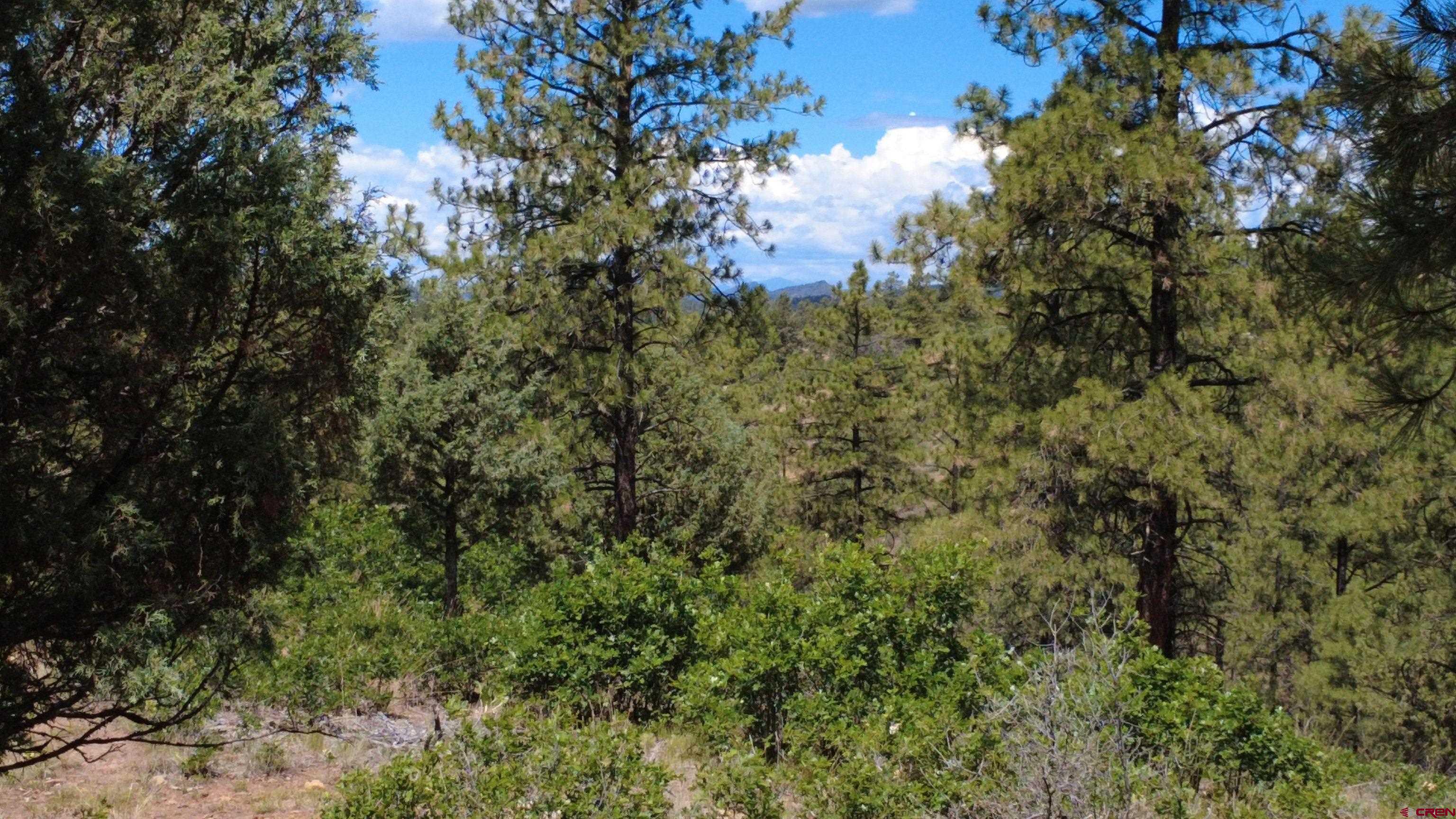 121 Engineer Point Pagosa Springs, CO 81147 - Photo 11 of 43