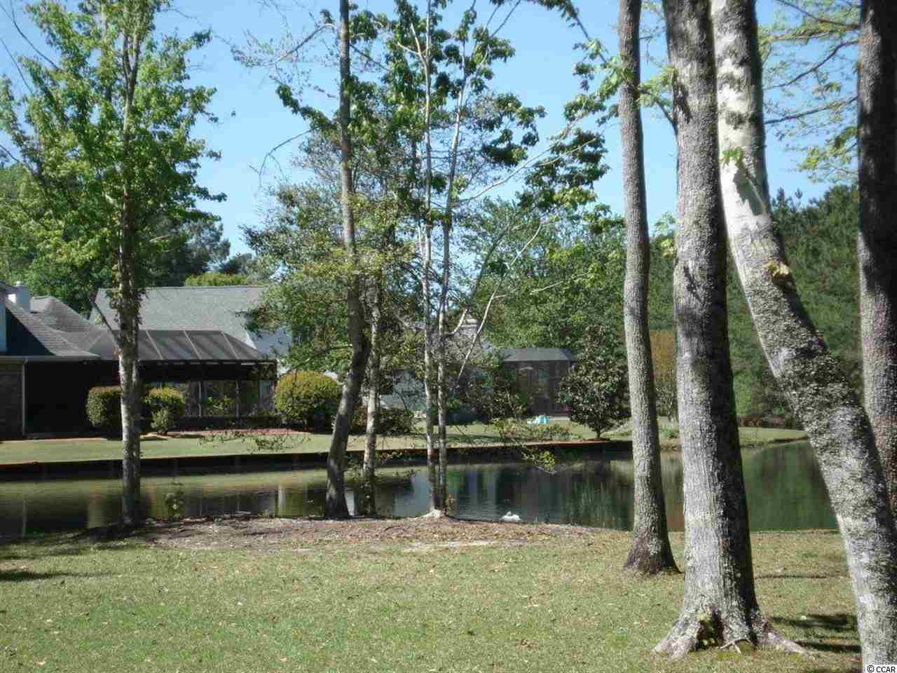 480 Saluda River Road Myrtle Beach, SC 29588 - Photo 22 of 25 Gallery Image 22