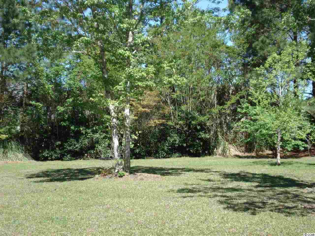 480 Saluda River Road Myrtle Beach, SC 29588 - Photo 24 of 25 Gallery Image 24
