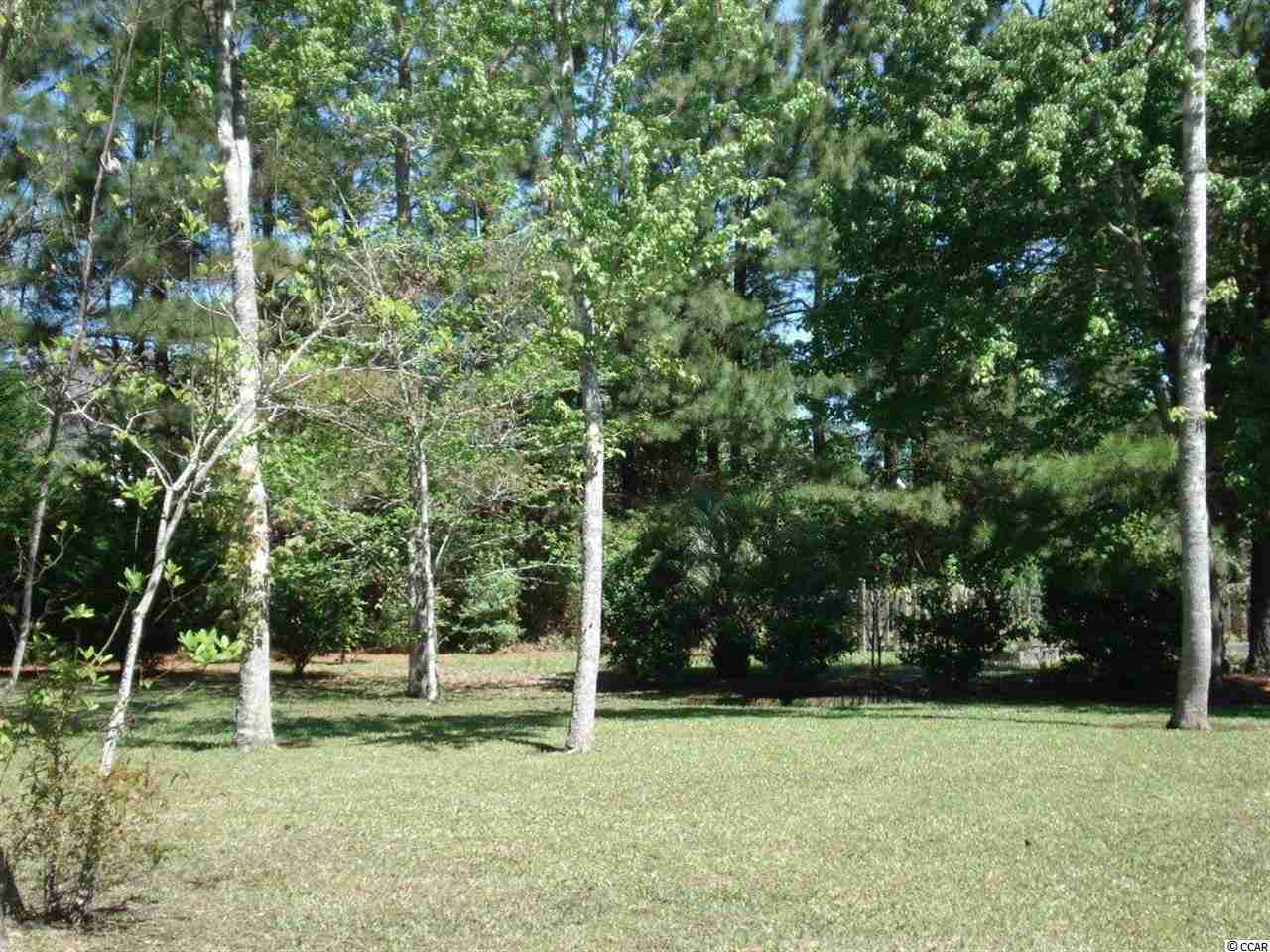480 Saluda River Road Myrtle Beach, SC 29588 - Photo 25 of 25 Gallery Image 25