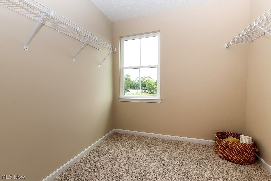 31903 Rustic Ridge North Ridgeville, OH 44039 - Photo 15 of 21 Gallery Image 15