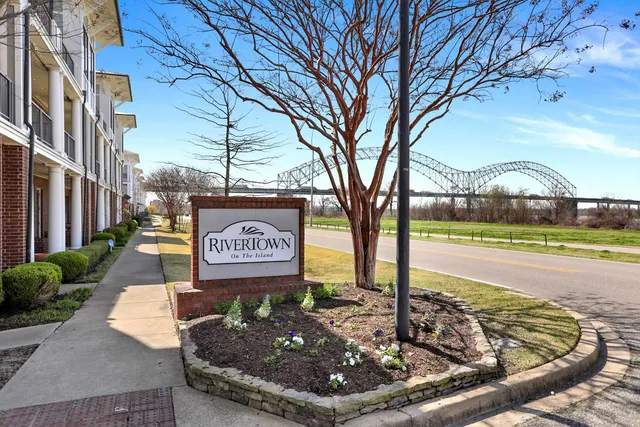 a view of a street with a large tree
