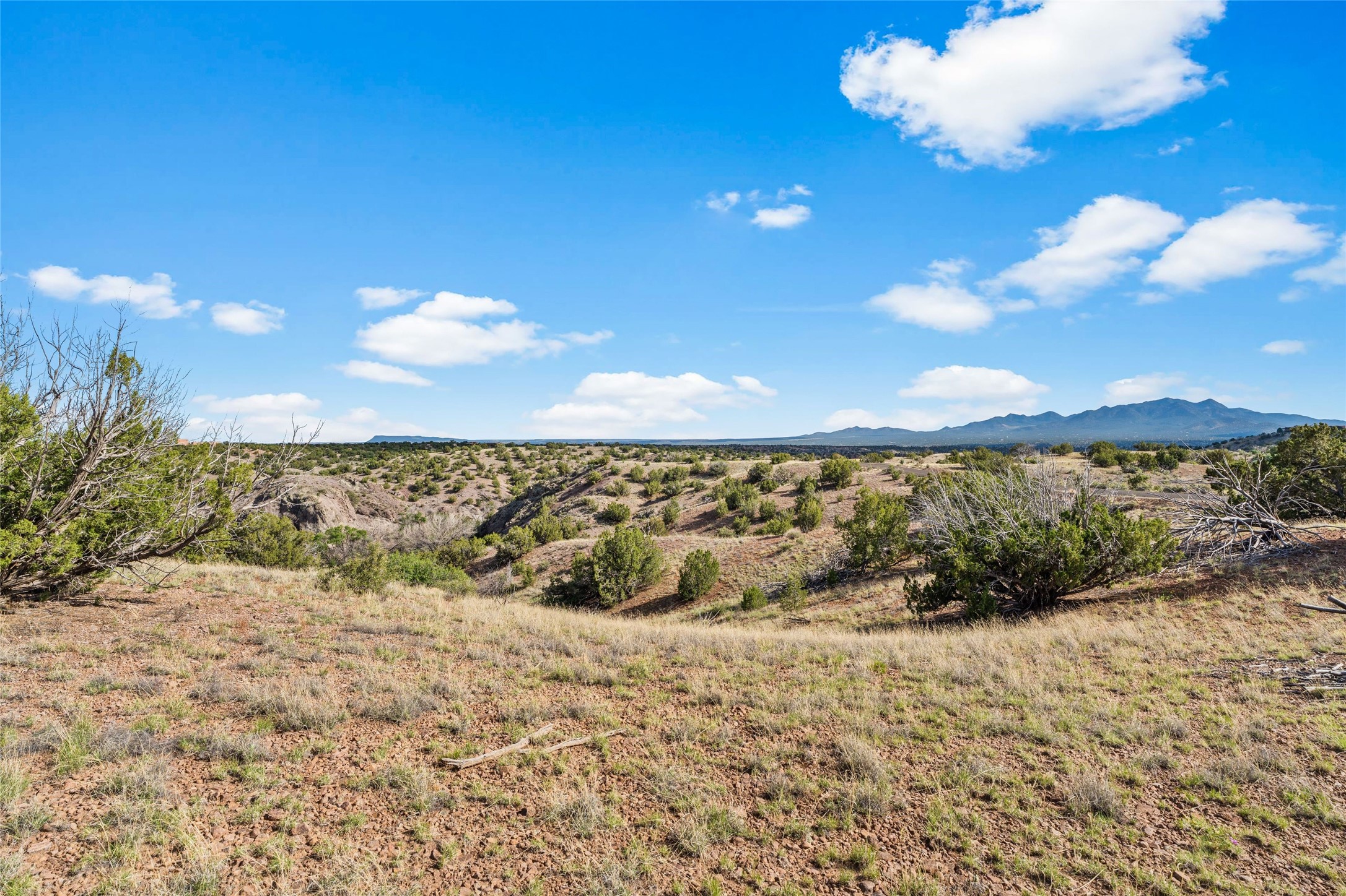 31 Gallina Road Santa Fe, NM 87508 - Photo 2 of 19