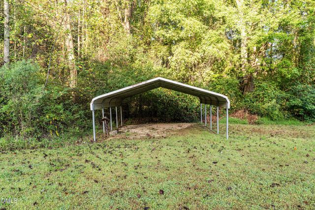 a small garden covered with tall trees