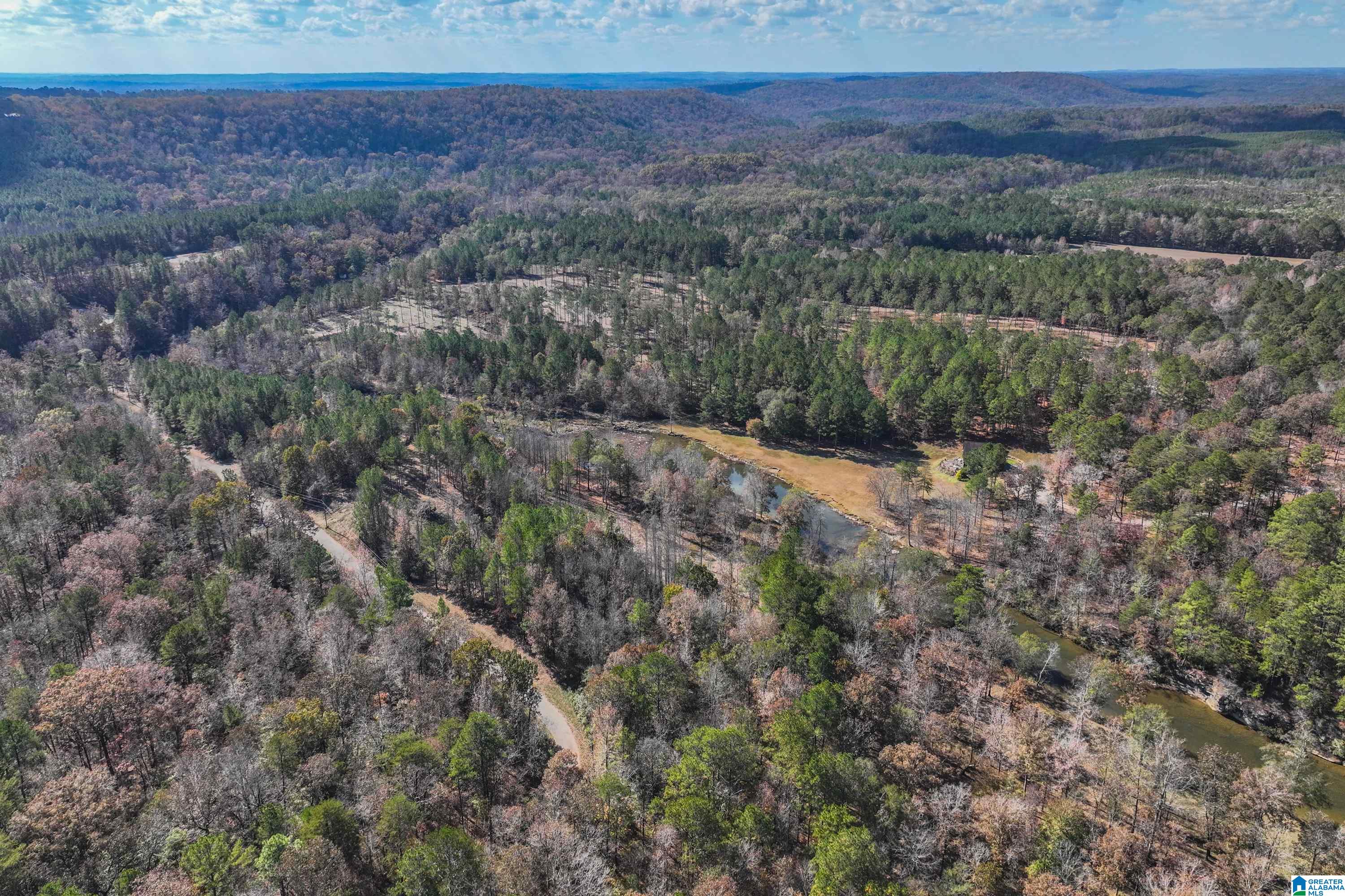 8799 Shades Fall Way, Unit 2 Bessemer, AL 35022 - Photo 5 of 45