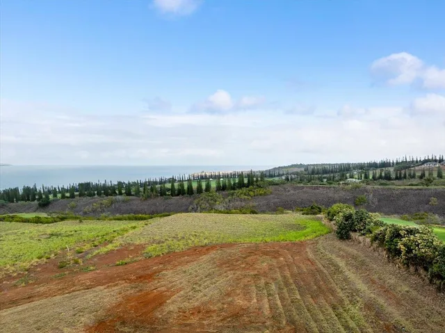 a view of a lake with a big yard