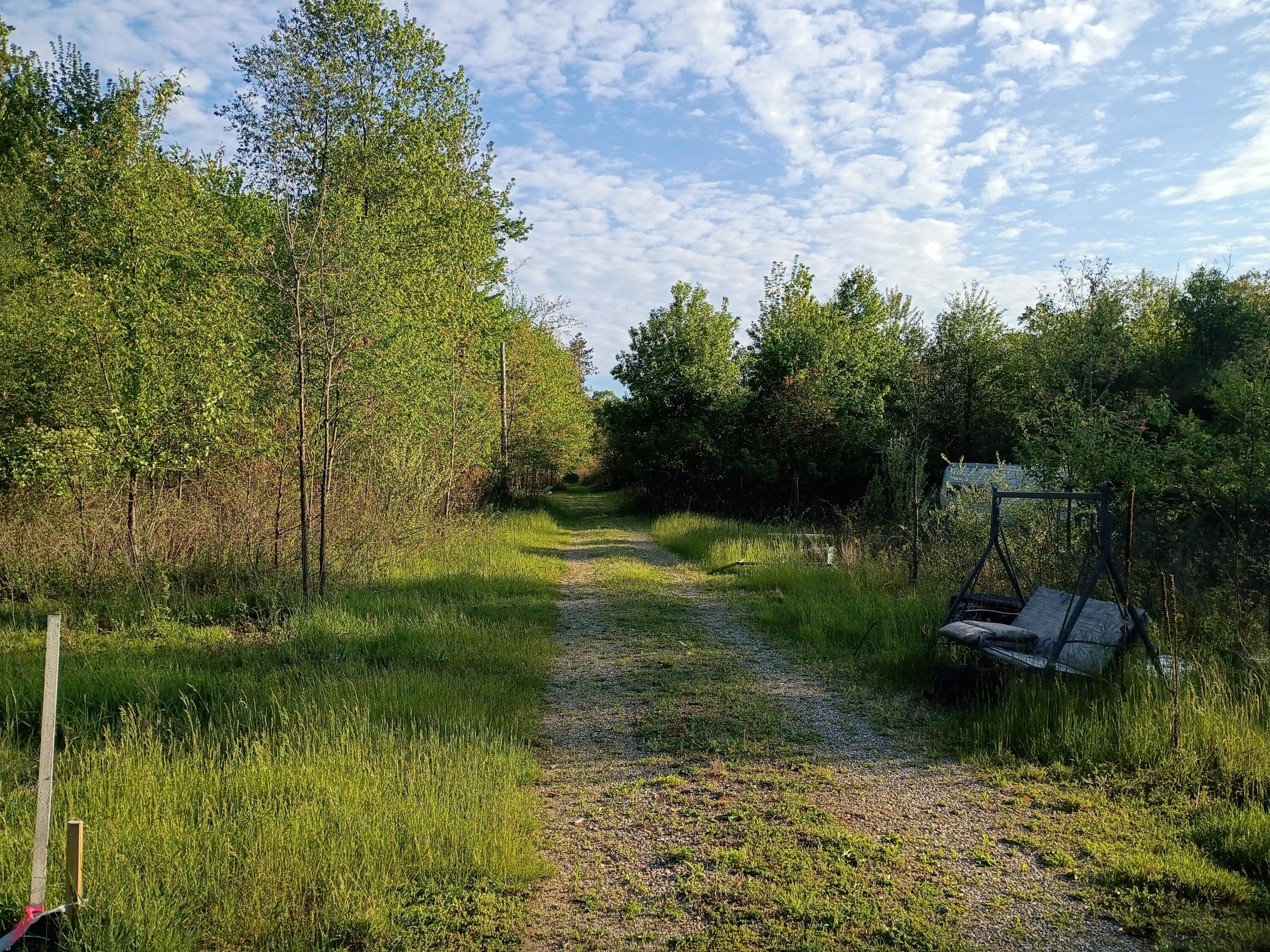 East Charles Road Ionia, MI 48846 - Photo 22 of 24 1000003314