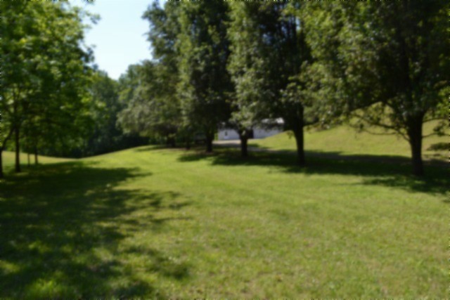 318 Rock Springs Road Celina, TN 38551 - Photo 57 of 87 a view of yard with trees