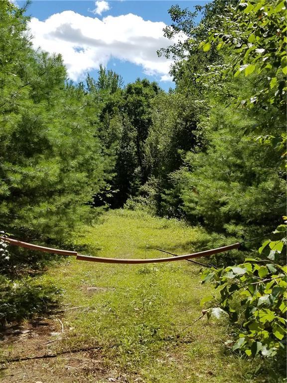0 North Road Medford, ME 04463 - Photo 8 of 16 Grassy trail to riverfront
