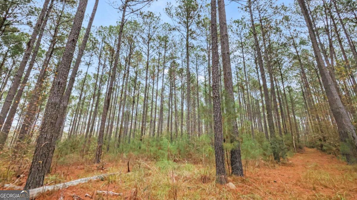0 Tract 1 Hunter Road Ellaville, GA 31806 - Photo 1 of 1 Gallery Image 1
