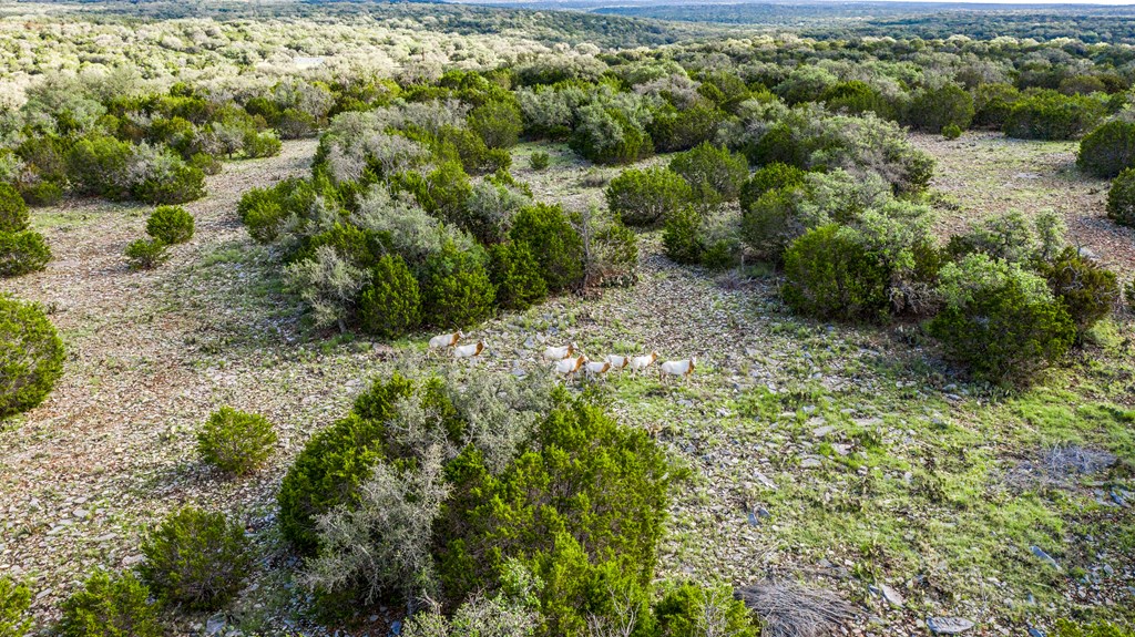 0 State Highway, Unit 8 Rocksprings, TX 78880 - Photo 19 of 21