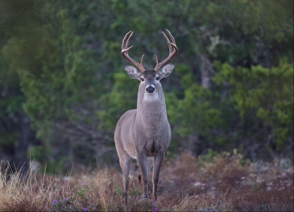 0 State Highway, Unit 8 Rocksprings, TX 78880 - Photo 20 of 21