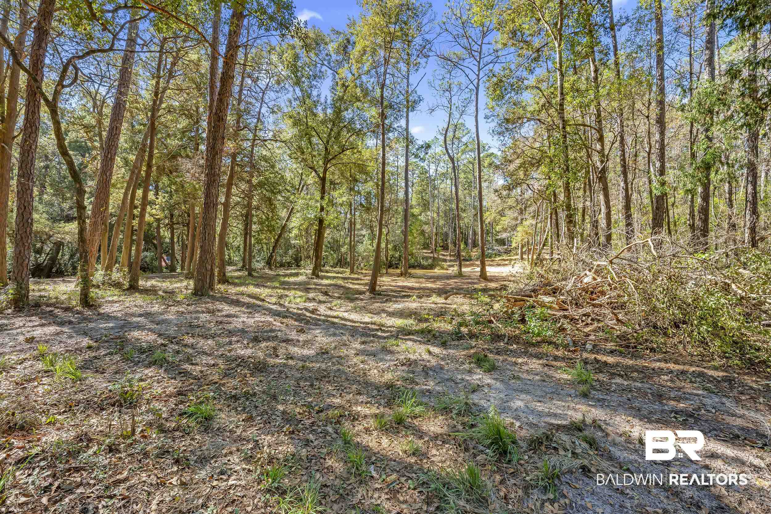 11010 Coleman Lane Elberta, AL 36530 - Photo 15 of 23