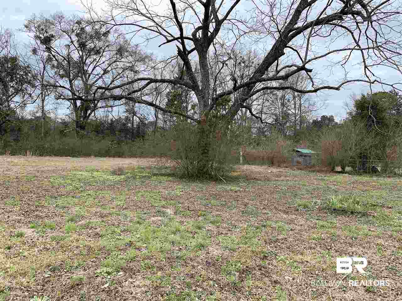 43505 Jones Road Bay Minette, AL 36507 - Photo 13 of 13 Gallery Image 13