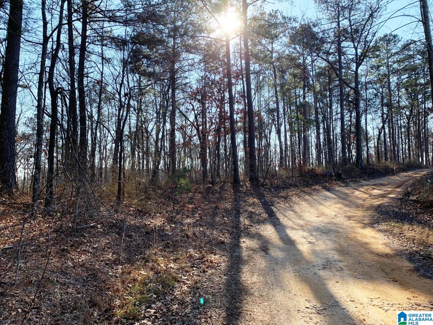 214 County Road, Unit 10 Fruithurst, AL 36262 - Photo 3 of 11