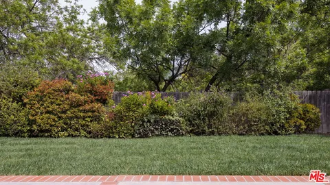 a view of a field
