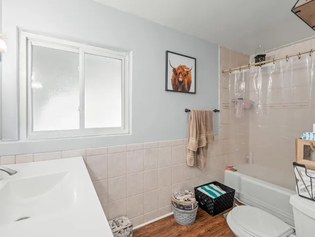 a bathroom with a shower curtain and a bathtub