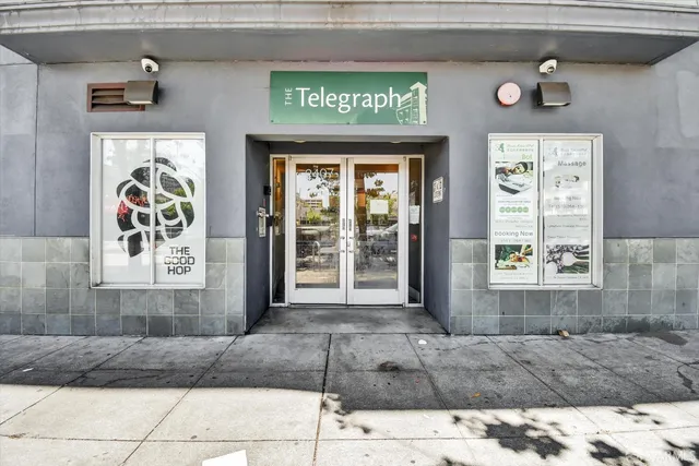 a front view of a building with a window and potted plant