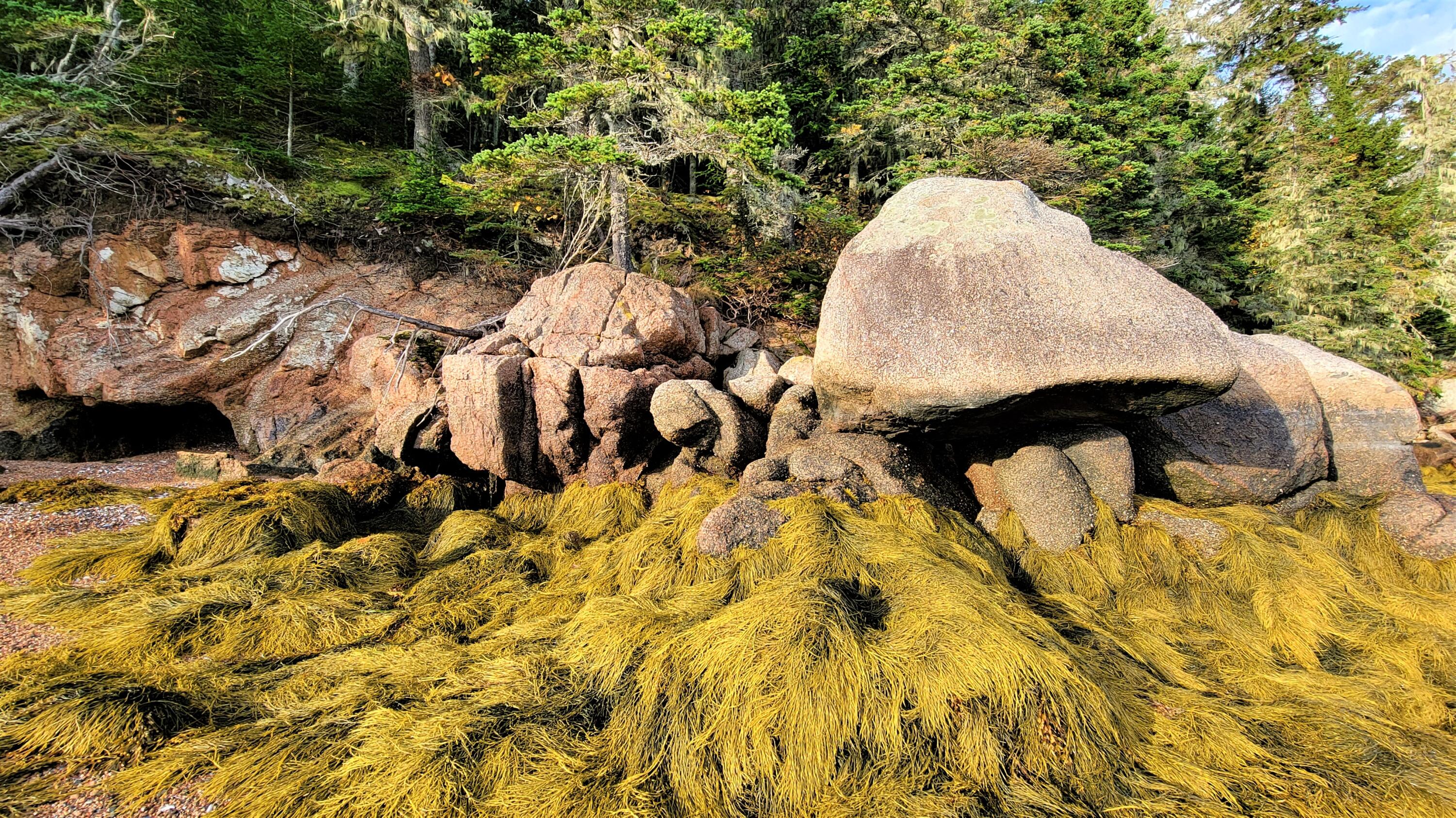 0 Sunshine Road Deer Isle, ME 04627 - Photo 10 of 20 Beach 4