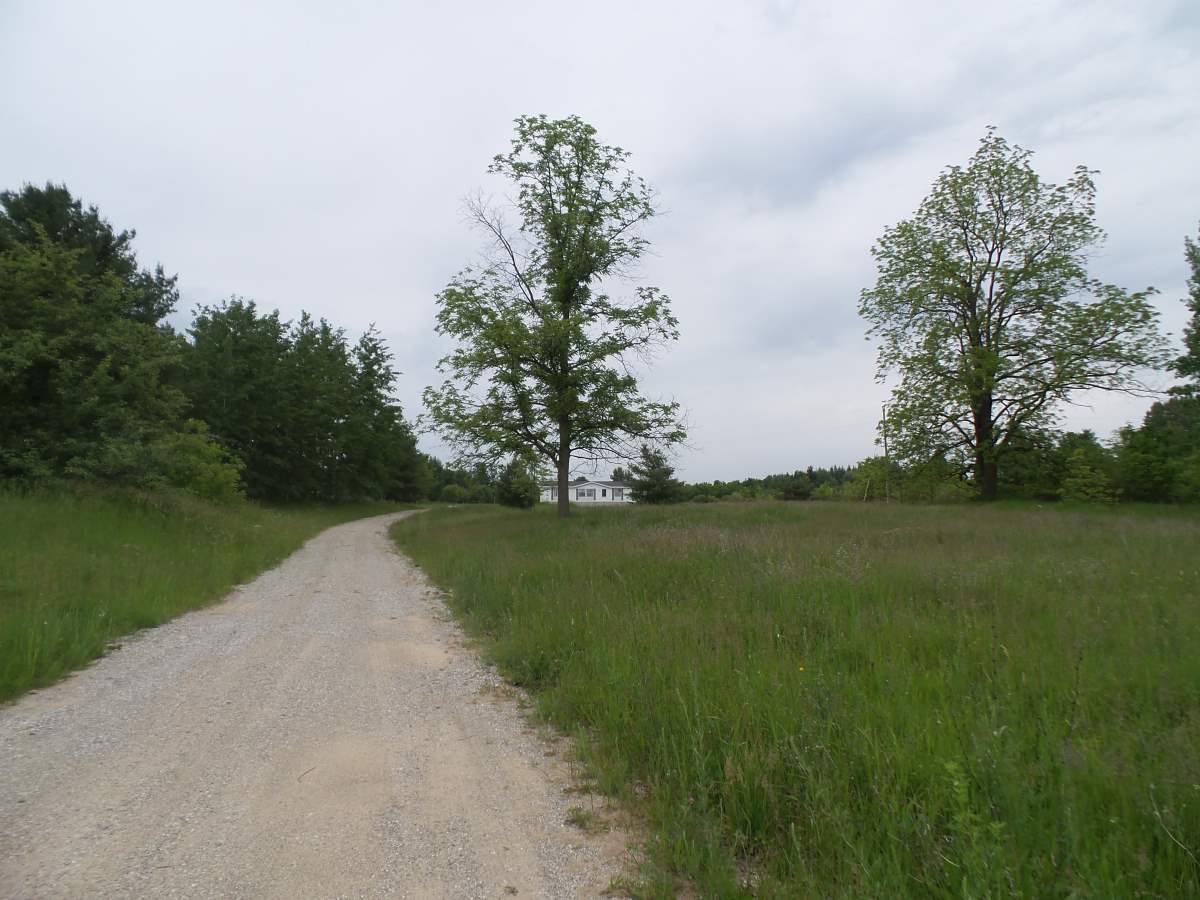 13650 Winters Road Kewadin, MI 49648 - Photo 36 of 39 1801682-35.JPG