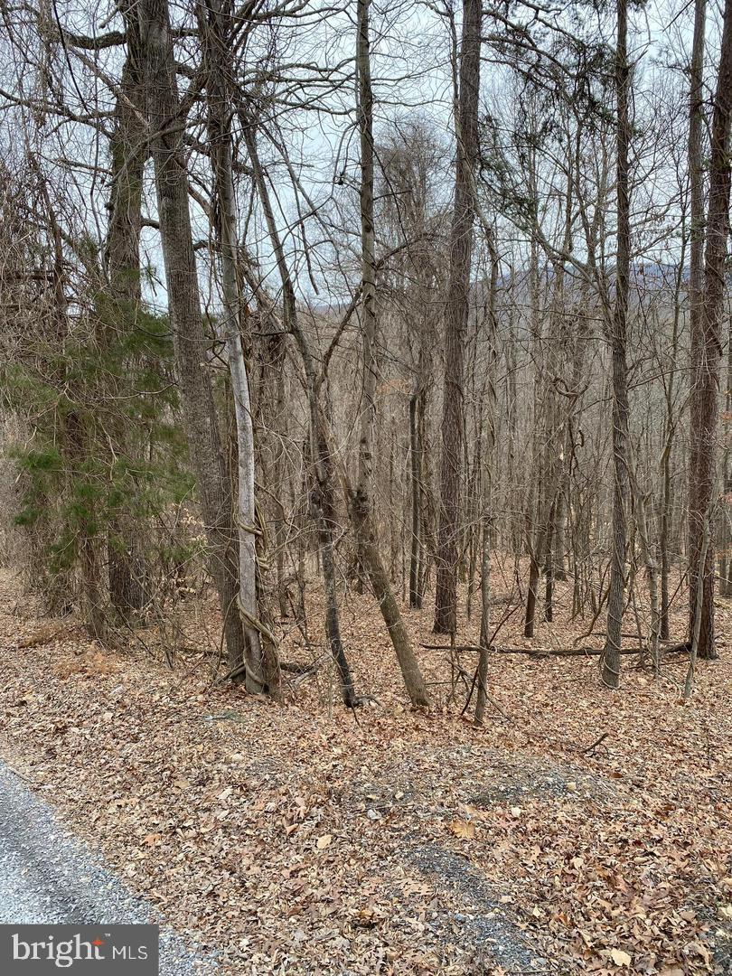 60 Old Oregon Road Front Royal, VA 22630 - Photo 1 of 6
