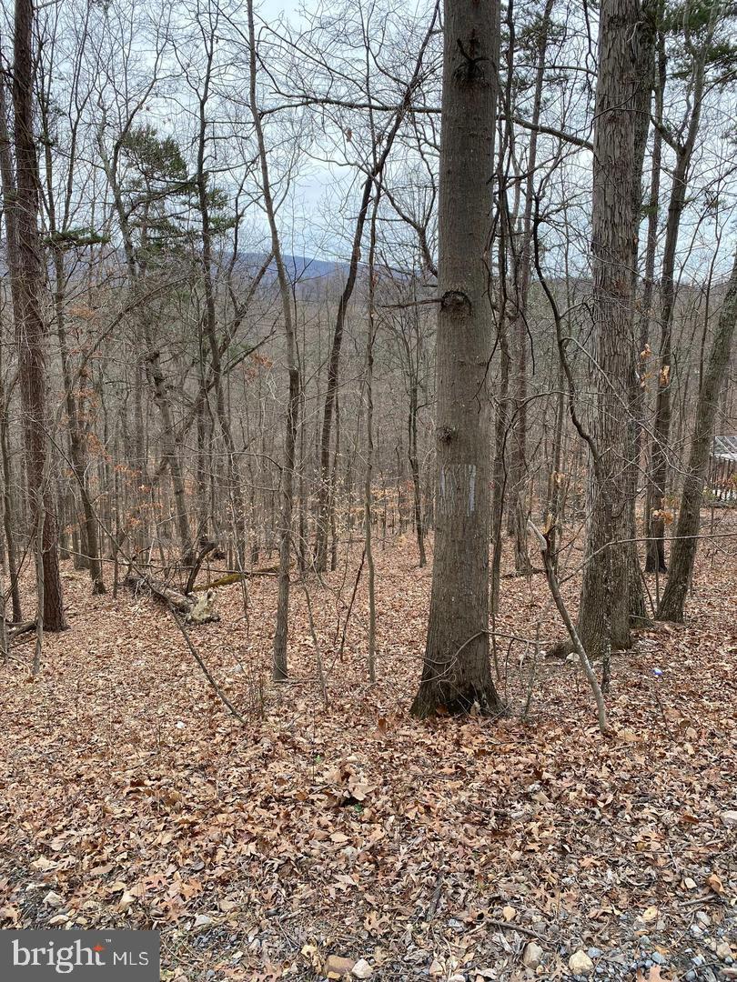 60 Old Oregon Road Front Royal, VA 22630 - Photo 2 of 6