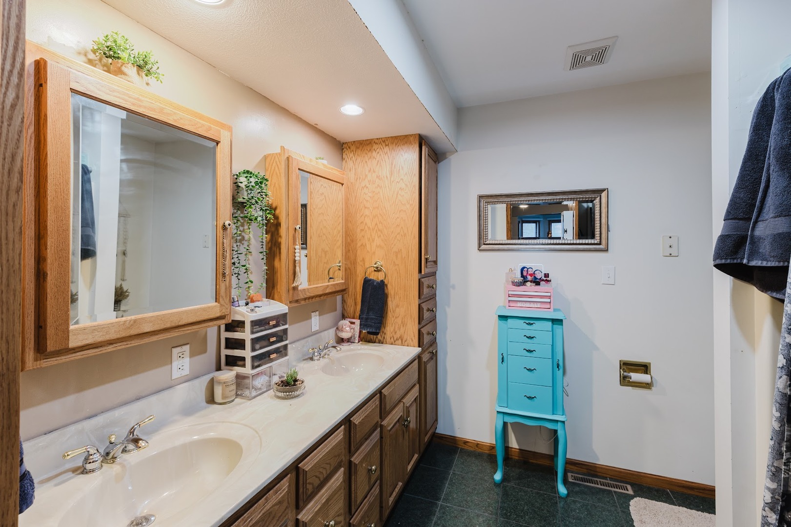 175 Oak Circle Goreville, IL 62939 - Photo 27 of 60 a en suite bathroom with a sink double vanity and a mirror