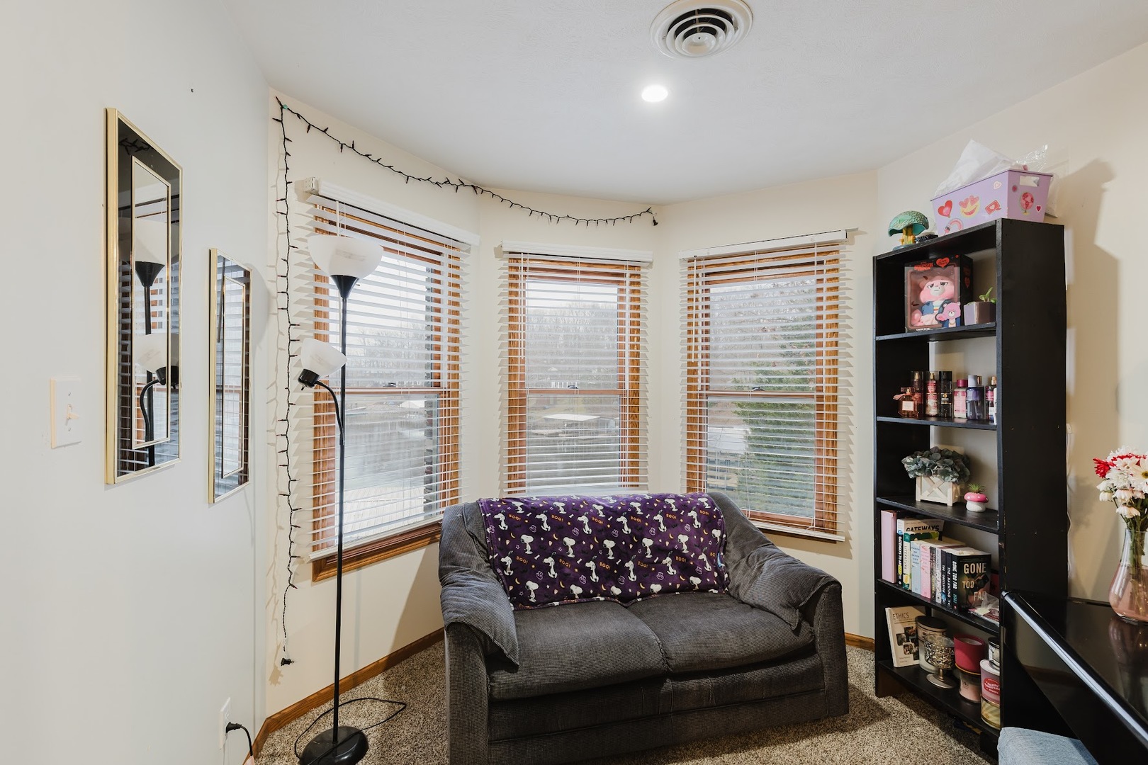 175 Oak Circle Goreville, IL 62939 - Photo 32 of 60 a living room with furniture and a window