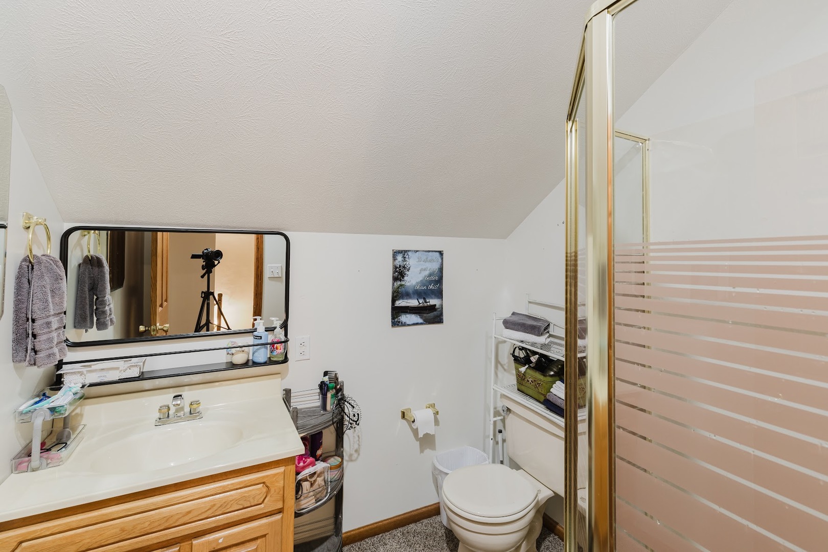 175 Oak Circle Goreville, IL 62939 - Photo 41 of 60 a bathroom with a toilet a sink and mirror