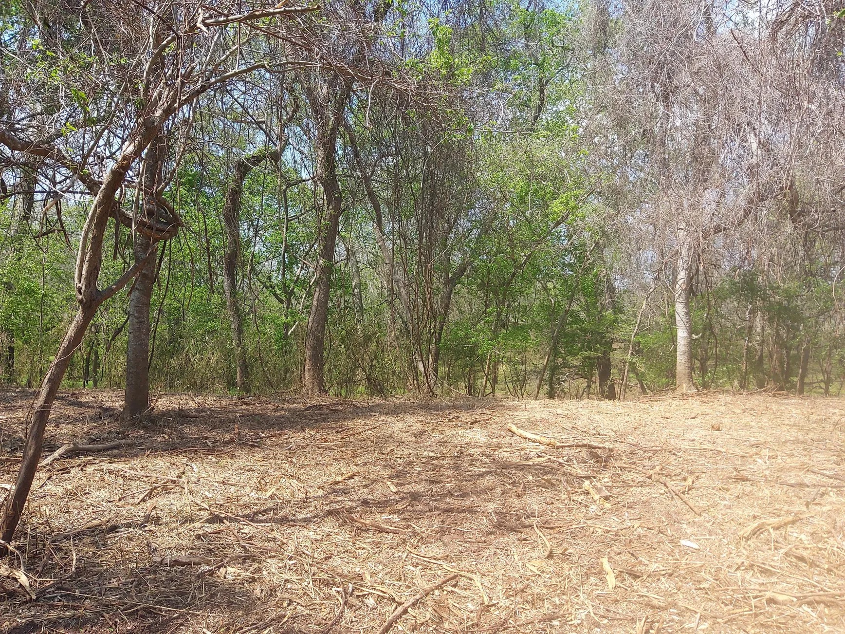 Lot 2 Fm 521 Angleton, TX 77515 - Photo 15 of 26