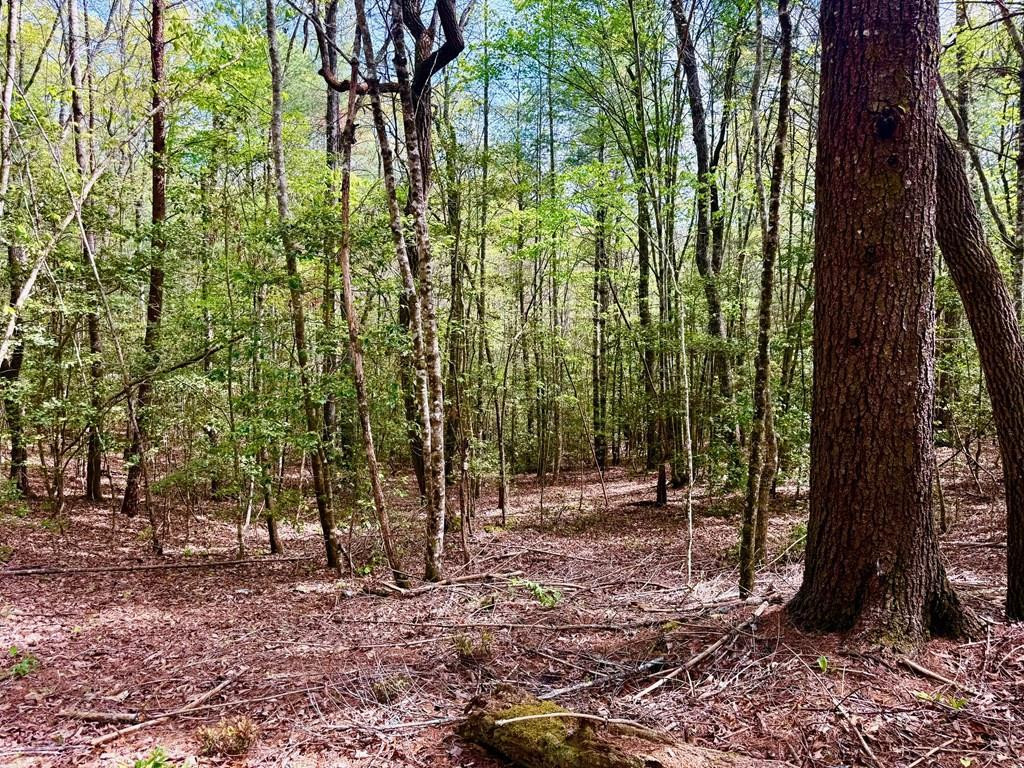 2.07-ac Rainy Farm Road Murphy, NC 28906 - Photo 2 of 11