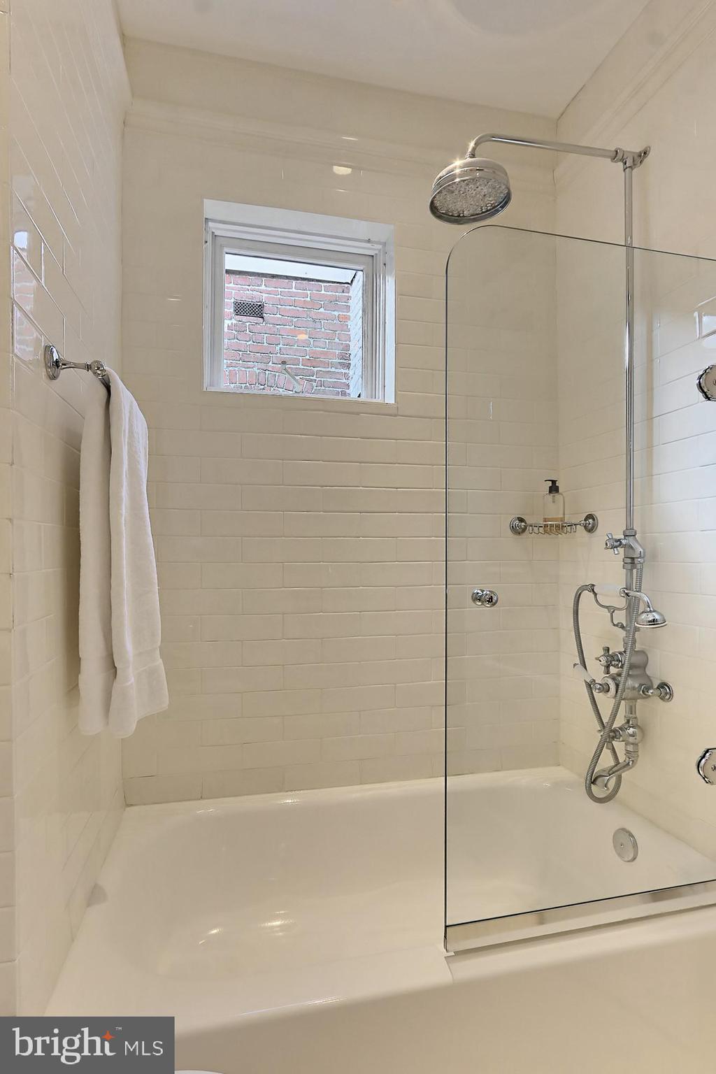 1239 33rd Street Northwest Washington, DC 20007 - Photo 45 of 58 Full Bath