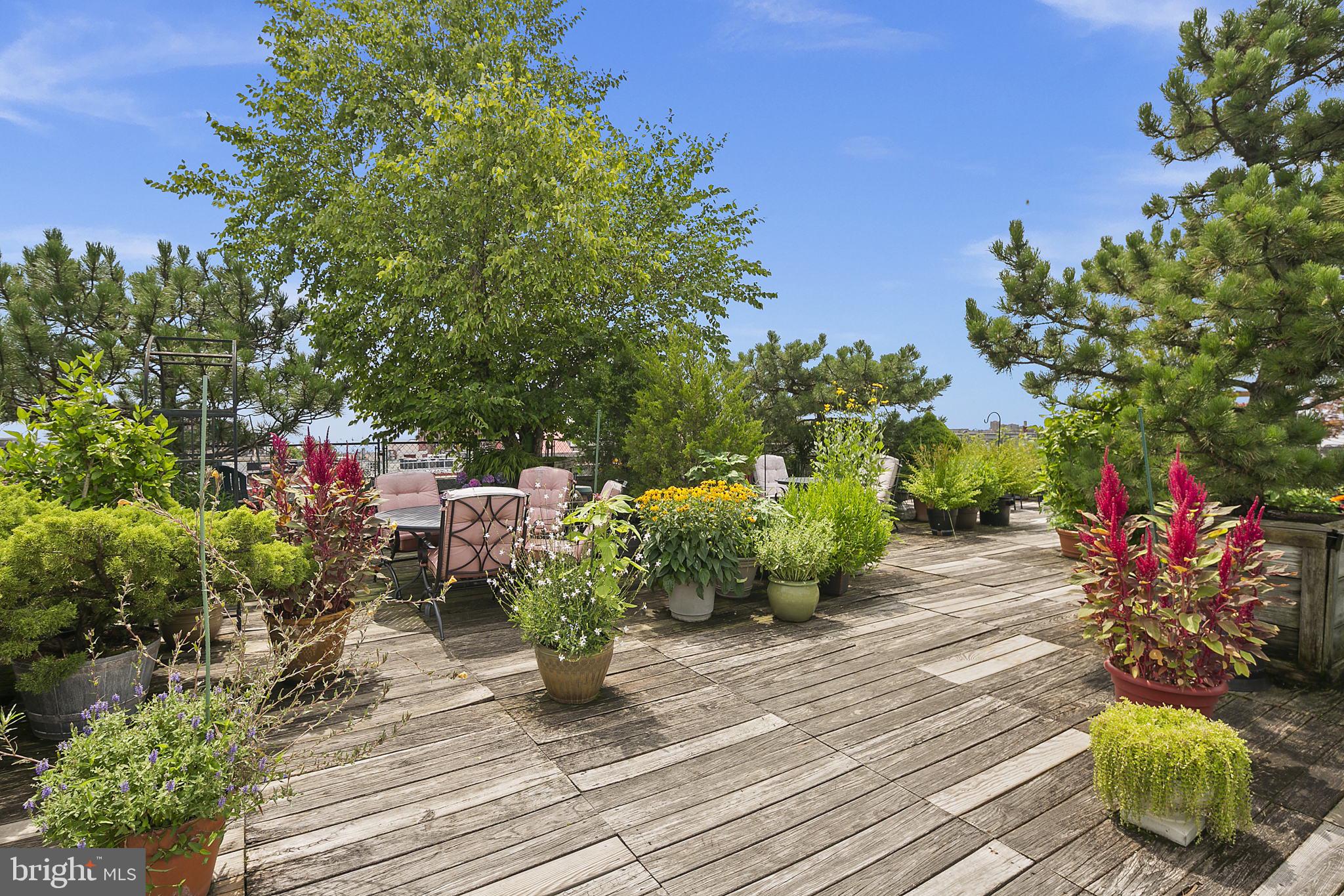2707 Adams Mill Road Northwest, Unit 404 Washington, DC 20009 - Photo 41 of 54 Rooftop terrace
