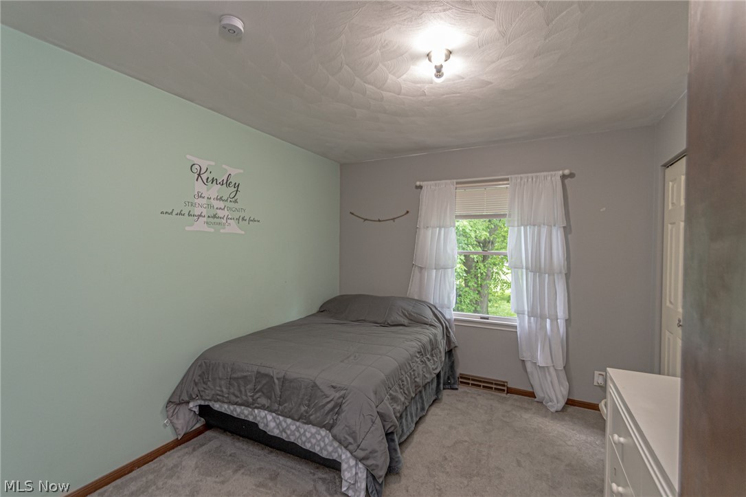 9173 Jamison Road Lodi, OH 44254 - Photo 20 of 35 Gallery Image 20