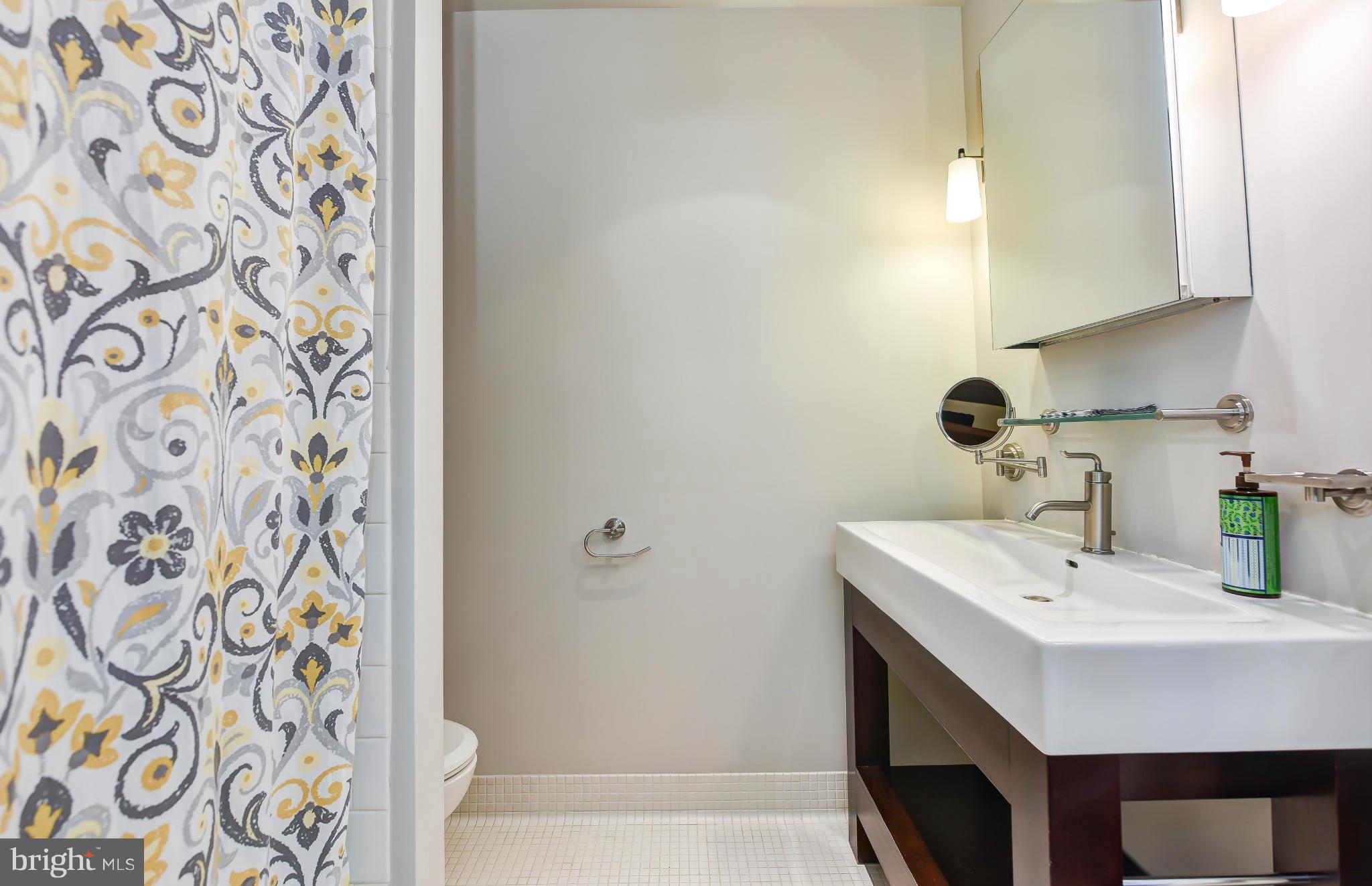 206 East Spring Street Alexandria, VA 22301 - Photo 28 of 30 Bath