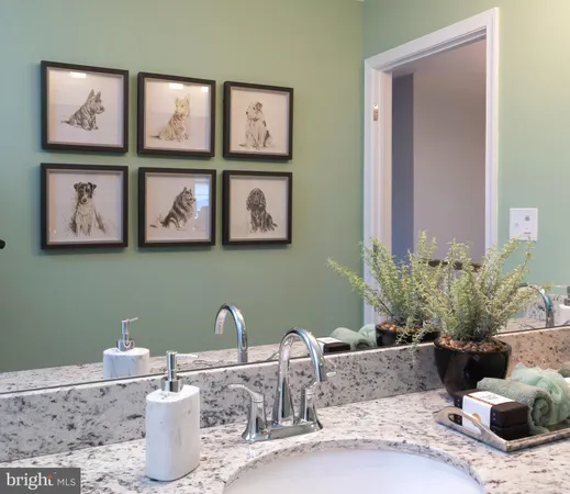 a bathroom with a granite countertop sink a mirror and a shower
