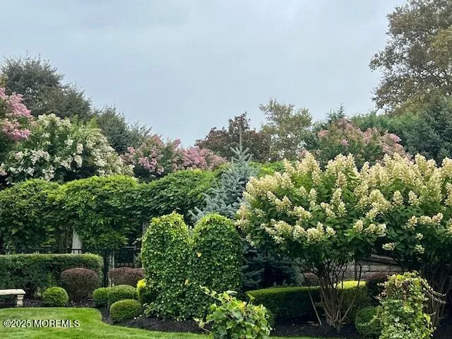 a view of a garden with plants