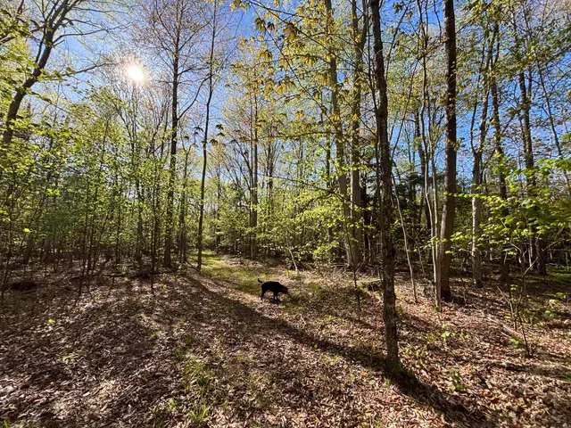 $225,000 | 60 East A E Walker Road, Harrisville, MI 48740