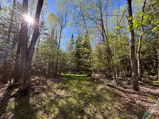 $225,000 | 60 East A E Walker Road, Harrisville, MI 48740